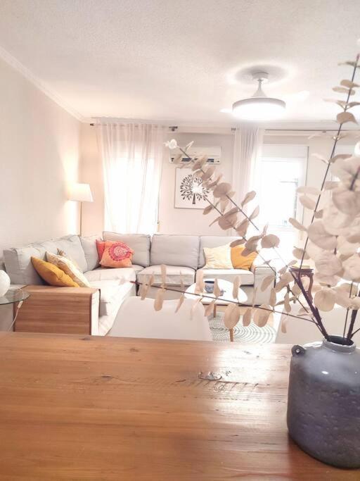 Charming & Spacious Apartment In Historic Centre & Short Walk To Beach Alicante Exterior photo