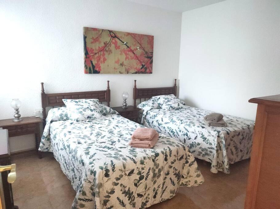 Charming & Spacious Apartment In Historic Centre & Short Walk To Beach Alicante Exterior photo